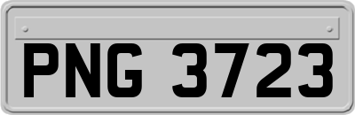 PNG3723
