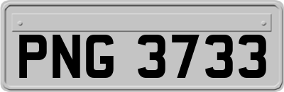 PNG3733