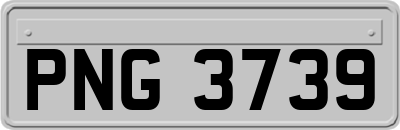 PNG3739