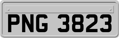 PNG3823