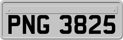 PNG3825
