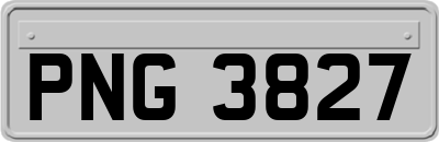 PNG3827
