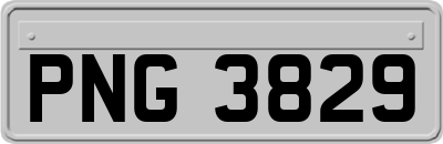 PNG3829