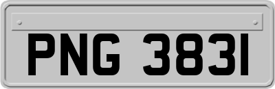 PNG3831