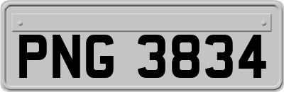 PNG3834