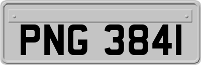 PNG3841
