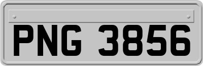 PNG3856