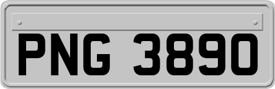 PNG3890