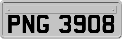PNG3908