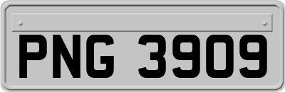 PNG3909