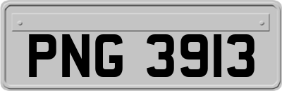 PNG3913