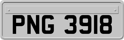 PNG3918
