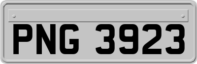 PNG3923