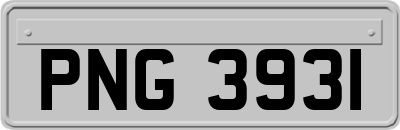 PNG3931