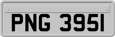 PNG3951