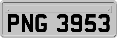 PNG3953