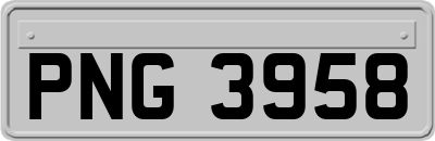 PNG3958