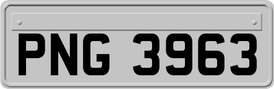 PNG3963