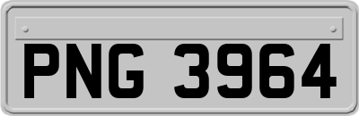 PNG3964