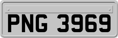 PNG3969
