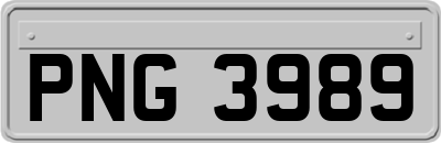 PNG3989