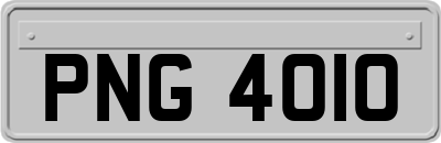 PNG4010