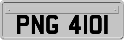 PNG4101