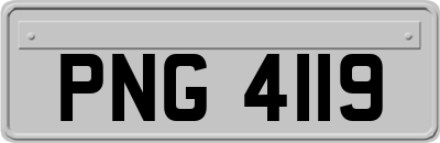 PNG4119