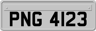 PNG4123