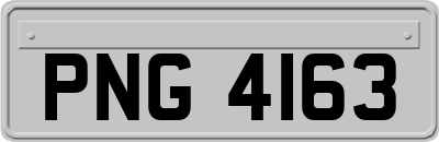 PNG4163