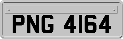 PNG4164