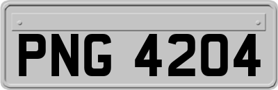 PNG4204