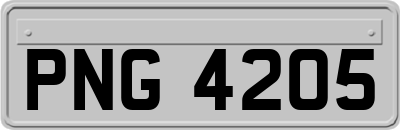 PNG4205