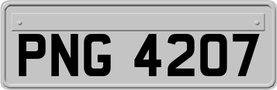 PNG4207