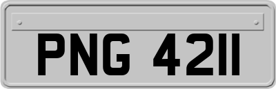 PNG4211