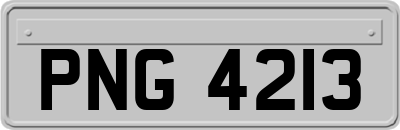 PNG4213