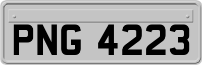 PNG4223