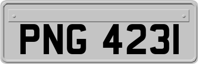 PNG4231
