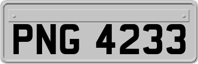 PNG4233