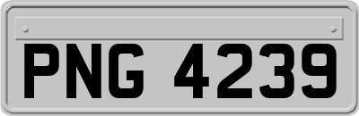 PNG4239