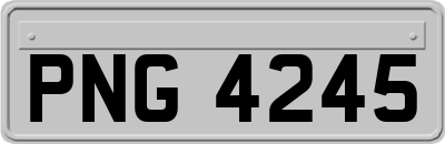 PNG4245