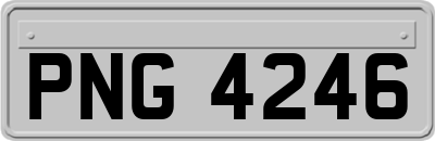PNG4246
