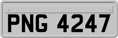 PNG4247