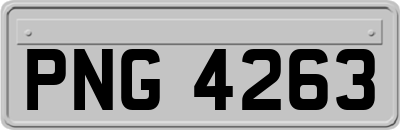 PNG4263