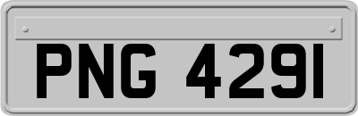 PNG4291