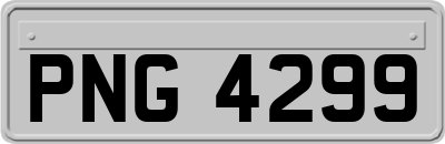 PNG4299