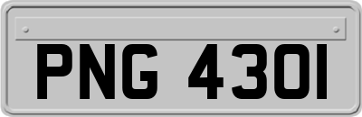PNG4301