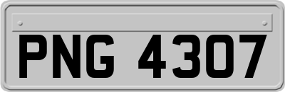 PNG4307