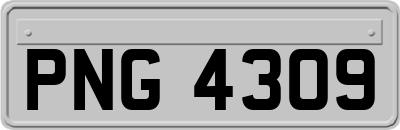 PNG4309