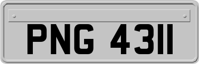 PNG4311